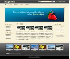 商丘网站建设 专业网站开发与网络公司选择指南