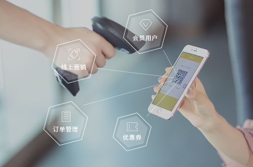 母婴行业数字化新趋势 网站建设、线上商城与手机软件一体化发展